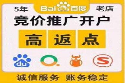 深入解析SEM竞价托管的成功案例
